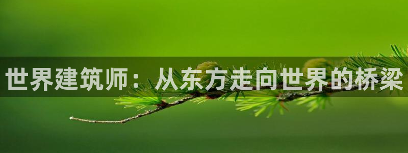 顺盈娱乐注册平台怎么样