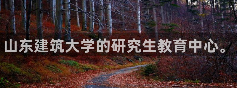 清远顺盈娱乐公司怎么样