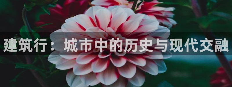 乐摇摇娱乐团购顺盈