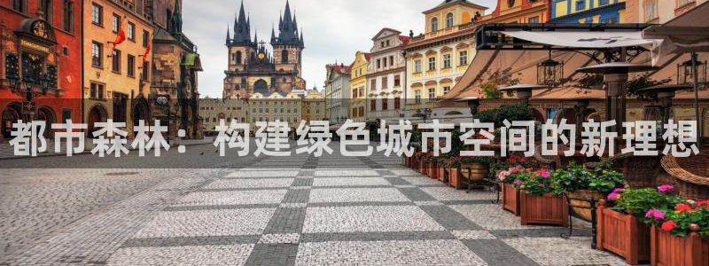 顺盈娱乐棋牌官网地址