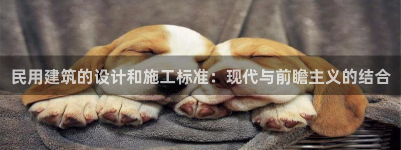 顺盈平台娱乐