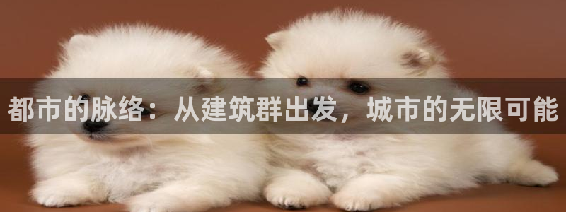 顺盈娱乐找527b.cn升哥