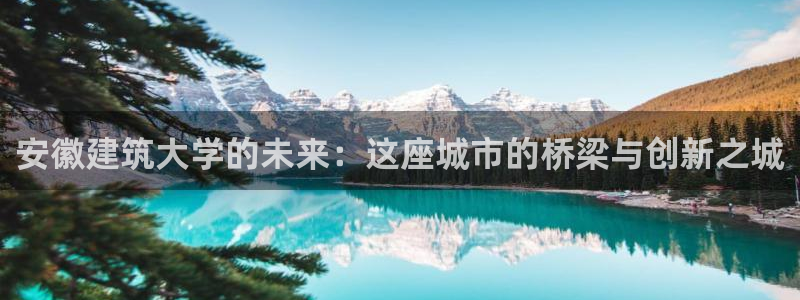 顺盈娱乐登录平台网址：安徽建筑大学的未来：这座城市的桥梁与创新之城