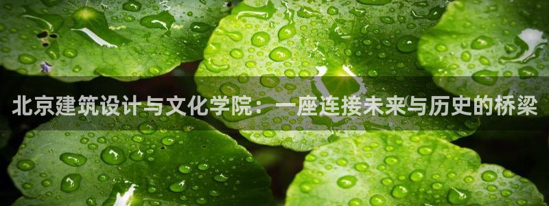 顺盈娱乐在线注册网址：北京建筑设计与文化学院：一座连接未来与历史的桥梁
