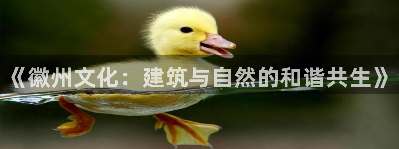 盈顺休闲娱乐室团购价格