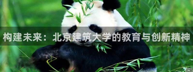 顺盈娱乐福彩