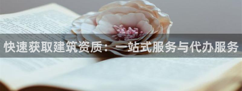 顺盈娱乐找382223