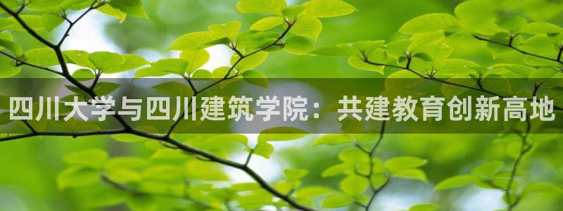 顺盈娱乐975949：四川大学与四川建筑学院：共建教育创新高地