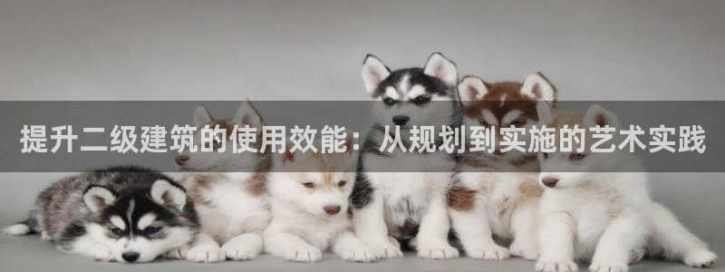 顺盈娱乐广场：提升二级建筑的使用效能：从规划到实施的艺术实践