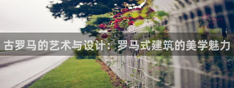 顺盈娱乐 找86555：古罗马的艺术与设计：罗马式建筑的美学魅力