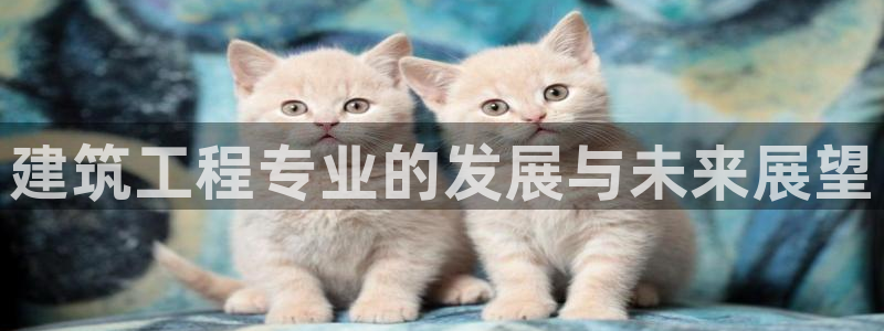 盈顺休闲娱乐室团购活动：建筑工程专业的发展与未来展望