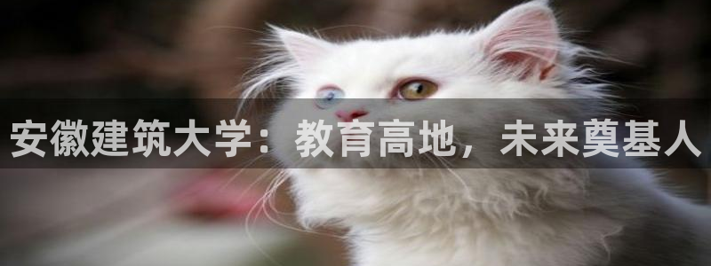 顺盈童欢娱乐有限公司