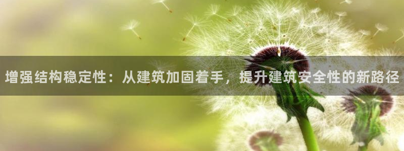 顺盈娱乐怎么退款：增强结构稳定性：从建筑加固着手，提升建筑安全性的新路径