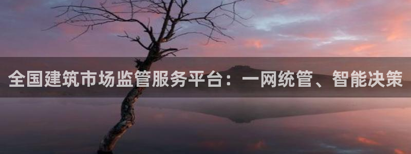 顺盈2娱乐在线教育：全国建筑市场监管服务平台：一网统管、智能决策