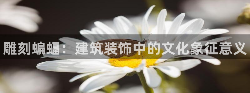 顺盈童欢娱乐有限公司：雕刻蝙蝠：建筑装饰中的文化象征意义