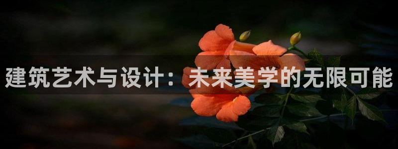 顺盈娱乐口究7276O：建筑艺术与设计：未来美学的无限可能