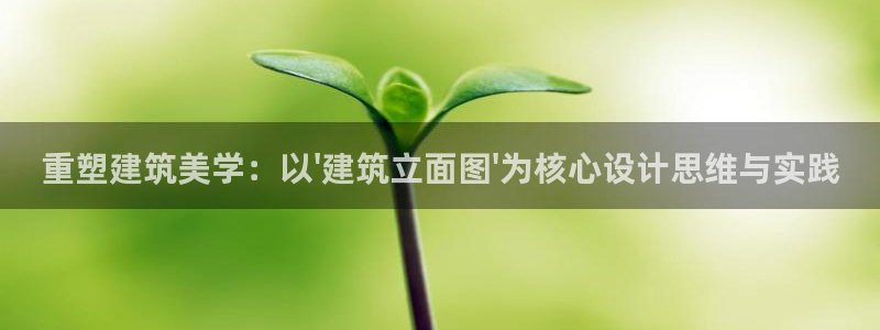 顺盈娱乐注册助判官333OO：重塑建筑美学：以\'建筑立面图\'为核心设计思维与实践