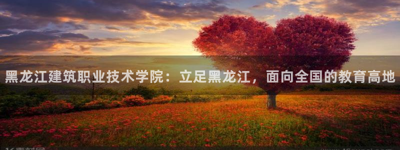 顺盈娱乐官网登录