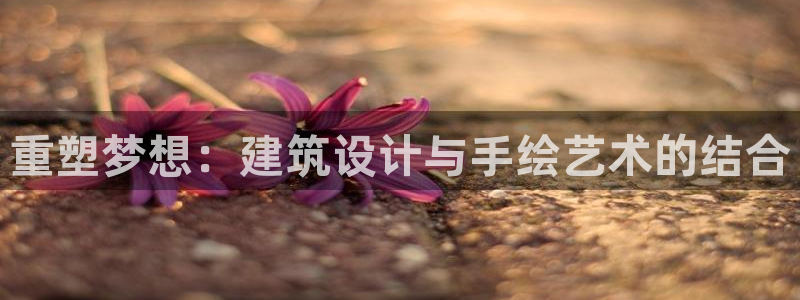 顺盈娱乐棋牌官网