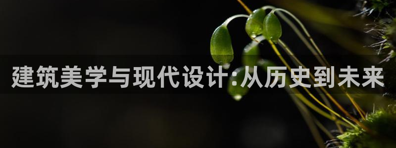 顺盈娱乐招商钱判官333OO