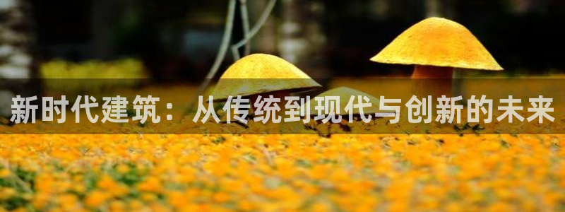 盈顺休闲娱乐室抖音团购