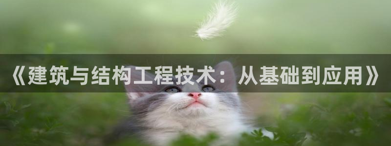 顺盈娱乐主管后原判官333OO